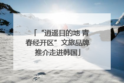“逍遥目的地 青春经开区”文旅品牌推介走进韩国