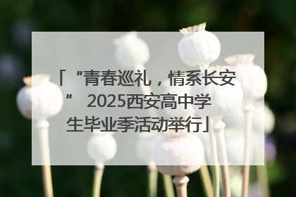 “青春巡礼，情系长安” 2025西安高中学生毕业季活动举行