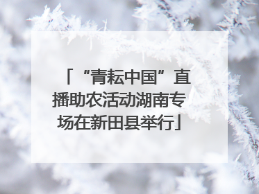 “青耘中国”直播助农活动湖南专场在新田县举行