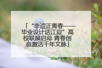 “非遗正青春——毕业设计话江夏”高校联展启幕 青春创意激活千年文脉