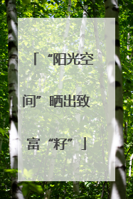 “阳光空间”晒出致富“籽”