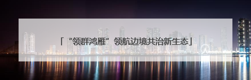 “领群鸿雁”领航边境共治新生态