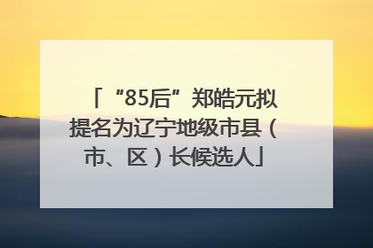 “85后”郑皓元拟提名为辽宁地级市县（市、区）长候选人