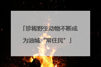 珍稀野生动物不断成为油城“常住民”