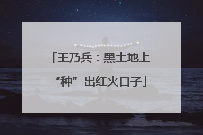 王乃兵：黑土地上“种”出红火日子