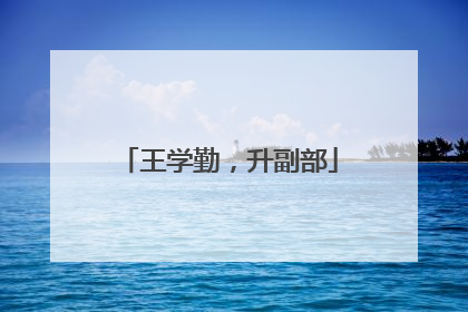 王学勤，升副部