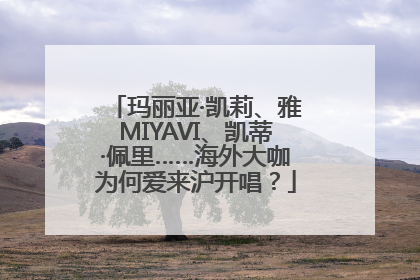 玛丽亚·凯莉、雅MIYAVI、凯蒂·佩里……海外大咖为何爱来沪开唱？