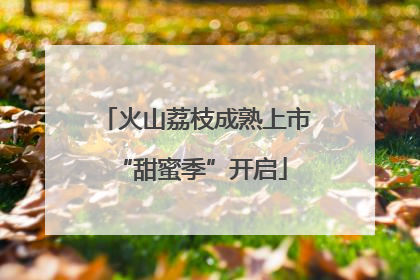 火山荔枝成熟上市 “甜蜜季”开启