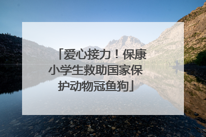 爱心接力！保康小学生救助国家保护动物冠鱼狗