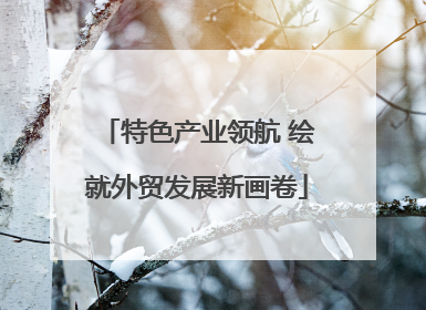 特色产业领航 绘就外贸发展新画卷