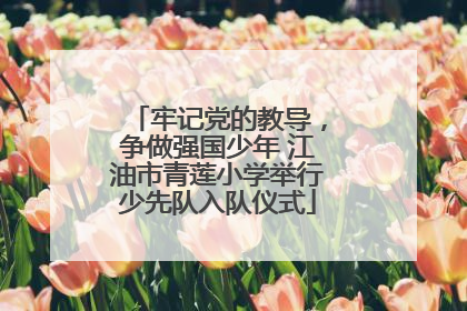 牢记党的教导，争做强国少年 江油市青莲小学举行少先队入队仪式