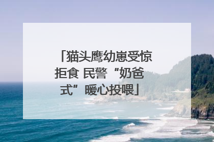 猫头鹰幼崽受惊拒食 民警“奶爸式”暖心投喂