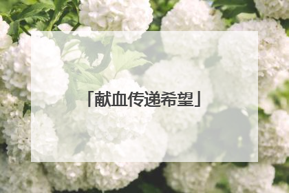 献血传递希望