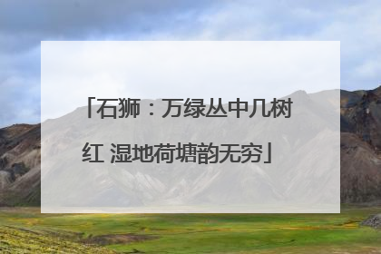 石狮：万绿丛中几树红 湿地荷塘韵无穷