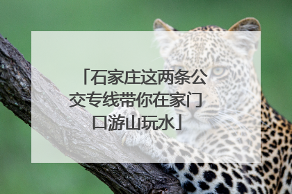 石家庄这两条公交专线带你在家门口游山玩水