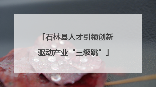 石林县人才引领创新驱动产业“三级跳”