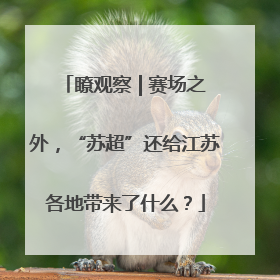 瞭观察 | 赛场之外，“苏超”还给江苏各地带来了什么？