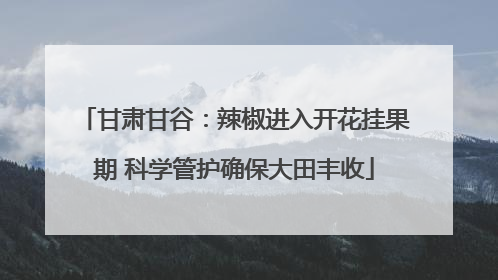 甘肃甘谷：辣椒进入开花挂果期 科学管护确保大田丰收