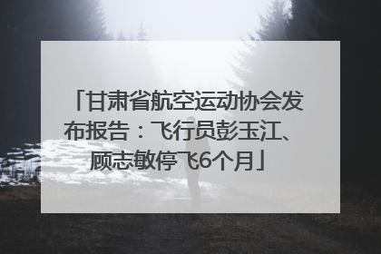 甘肃省航空运动协会发布报告：飞行员彭玉江、顾志敏停飞6个月