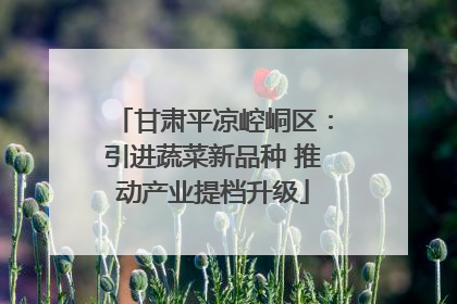 甘肃平凉崆峒区：引进蔬菜新品种 推动产业提档升级