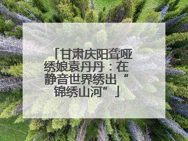 甘肃庆阳聋哑绣娘袁丹丹：在静音世界绣出“锦绣山河”