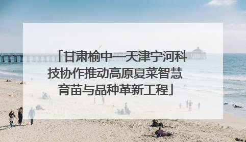 甘肃榆中—天津宁河科技协作推动高原夏菜智慧育苗与品种革新工程