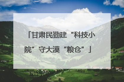 甘肃民勤建“科技小院”守大漠“粮仓”