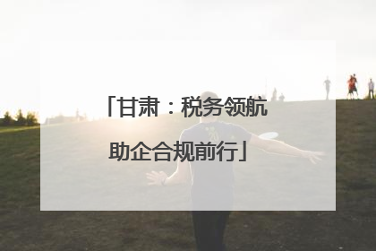 甘肃：税务领航 助企合规前行