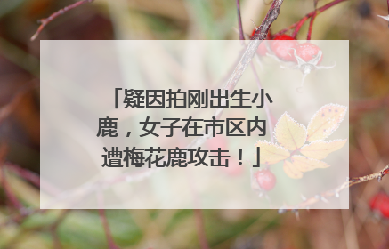 疑因拍刚出生小鹿，女子在市区内遭梅花鹿攻击！