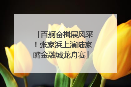 百舸奋楫展风采！张家浜上演陆家嘴金融城龙舟赛