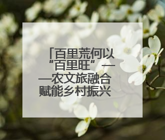 百里荒何以“百里旺”——农文旅融合赋能乡村振兴三部曲