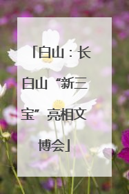 白山：长白山“新三宝”亮相文博会