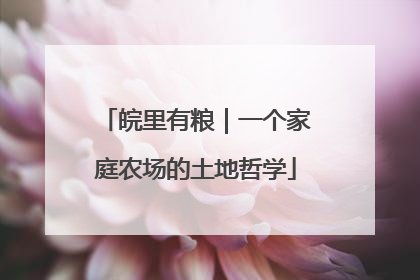 皖里有粮｜一个家庭农场的土地哲学