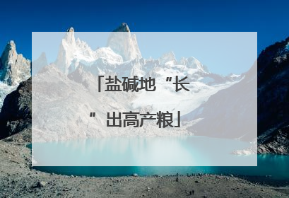 盐碱地“长”出高产粮