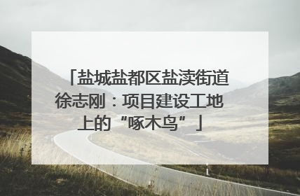 盐城盐都区盐渎街道徐志刚：项目建设工地上的“啄木鸟”
