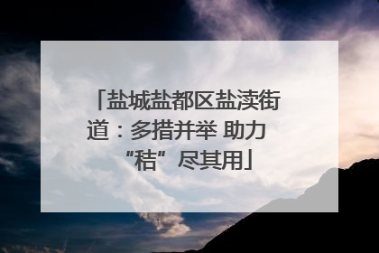 盐城盐都区盐渎街道：多措并举 助力“秸”尽其用