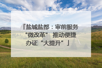 盐城盐都：审前服务“微改革” 推动便捷办证“大提升”