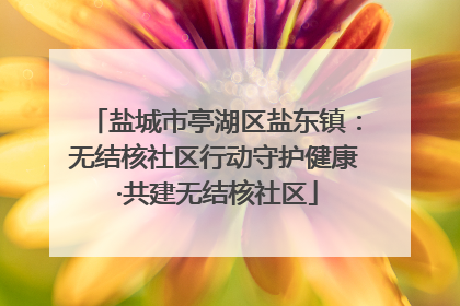 盐城市亭湖区盐东镇：无结核社区行动守护健康 ·共建无结核社区