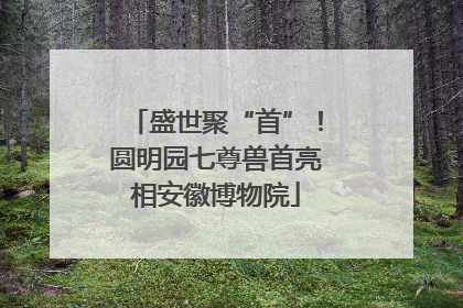 盛世聚“首”！圆明园七尊兽首亮相安徽博物院