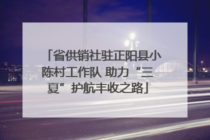 省供销社驻正阳县小陈村工作队 助力“三夏”护航丰收之路