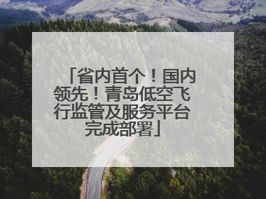 省内首个！国内领先！青岛低空飞行监管及服务平台完成部署