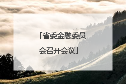 省委金融委员会召开会议