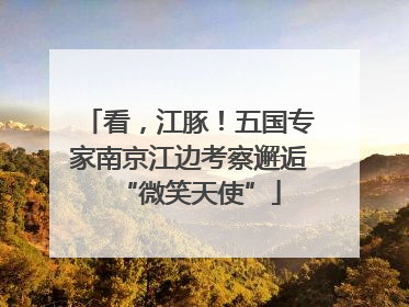 看，江豚！五国专家南京江边考察邂逅“微笑天使”