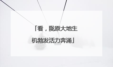 看，陇原大地生机勃发活力奔涌