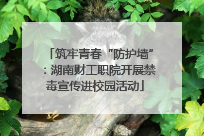 筑牢青春“防护墙”：湖南财工职院开展禁毒宣传进校园活动