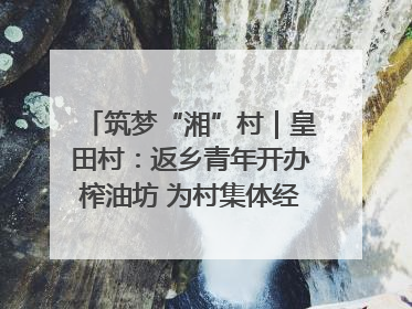 筑梦“湘”村｜皇田村：返乡青年开办榨油坊 为村集体经济“加油”