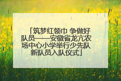 筑梦红领巾 争做好队员——安徽省龙亢农场中心小学举行少先队新队员入队仪式