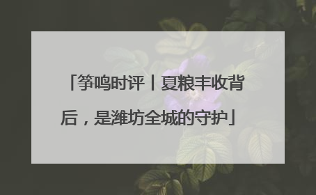 筝鸣时评丨夏粮丰收背后，是潍坊全城的守护