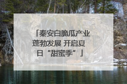 秦安白脆瓜产业蓬勃发展 开启夏日“甜蜜季”