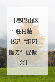秦巴山区：驻村第一书记“组团服务”促振兴